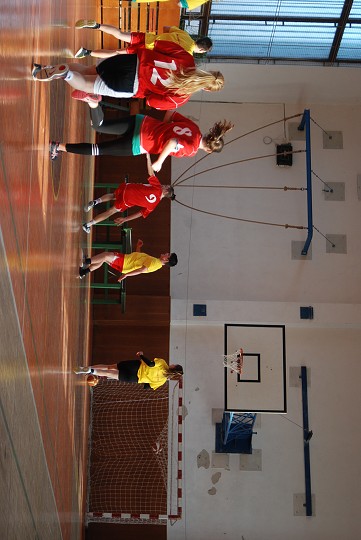 img00413.jpg