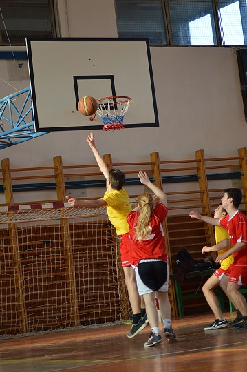 img00181.jpg